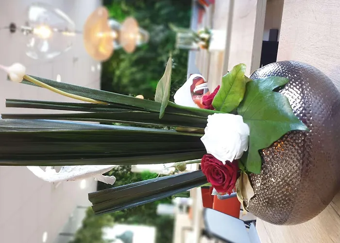 锡布尔圣让德吕兹宜必思经济型酒店 酒店 西布勒